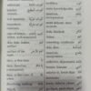 Goodword Arabic English Dictionary - Image 2