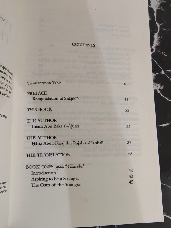 The Journey of the Strangers - Image 2