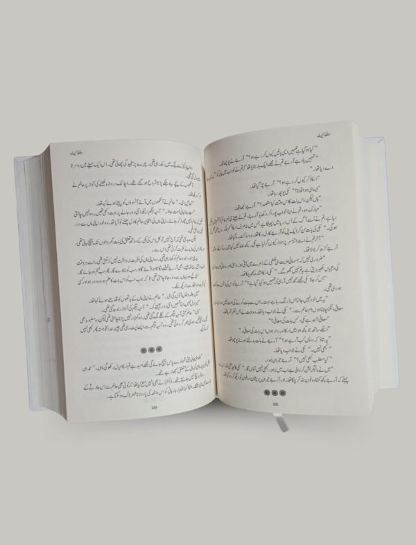 Sulphite by Noor Rajpoot (Hardcover) - Image 2