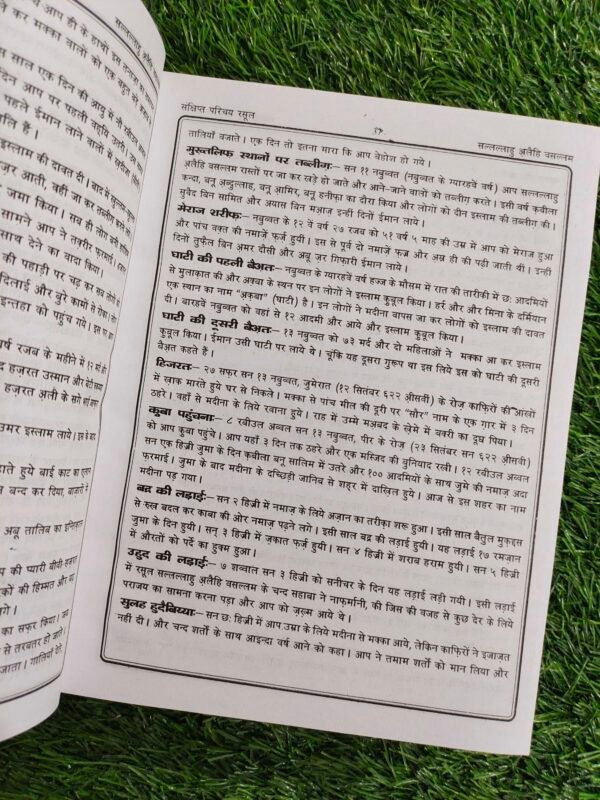 Qur'an Majeed in Hindi (कुरआन मजीद सना उल्लाह अम्रृतसरी) - Image 2